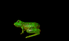 A vintage animated frog